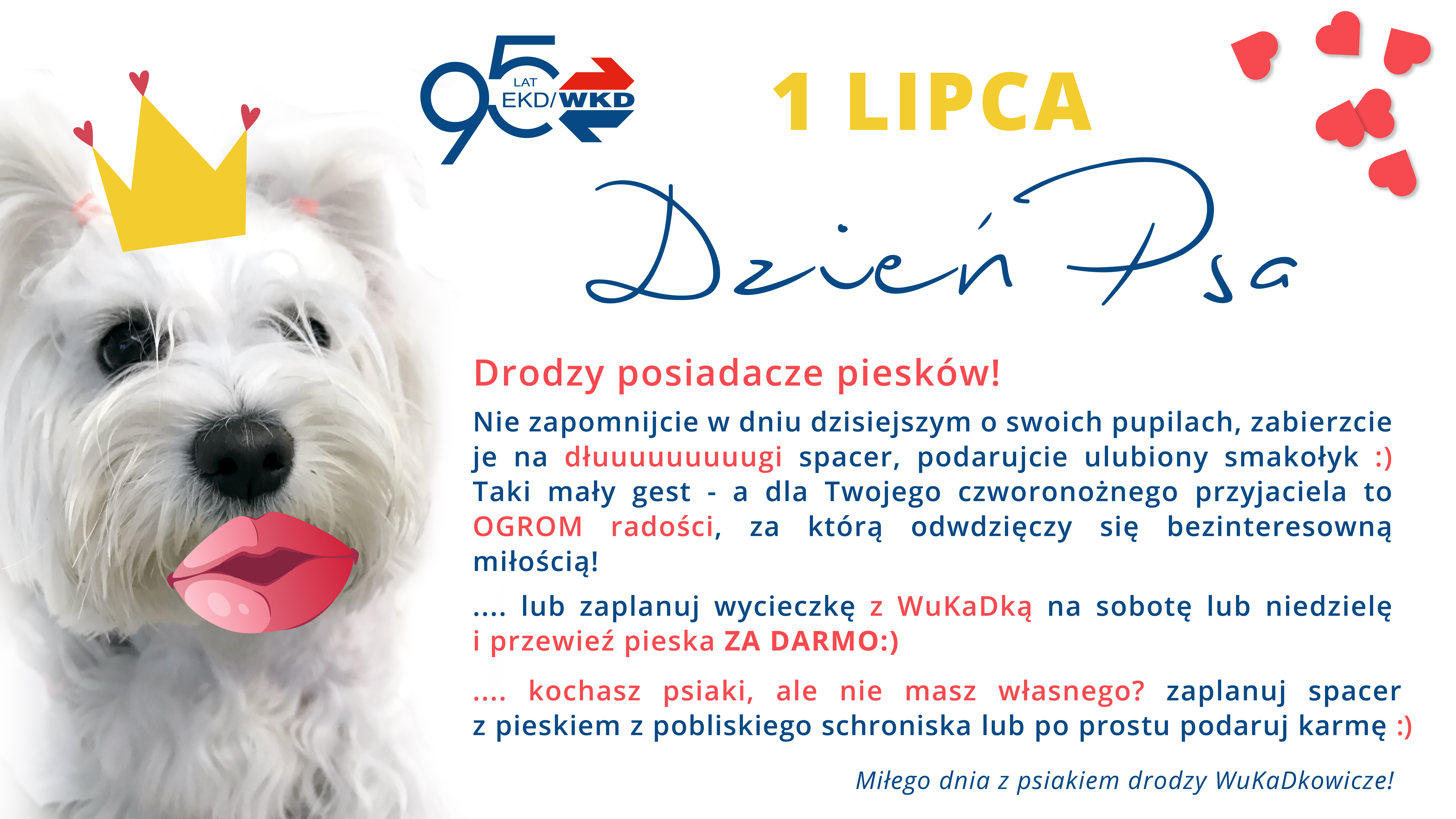 dzień psa plakat