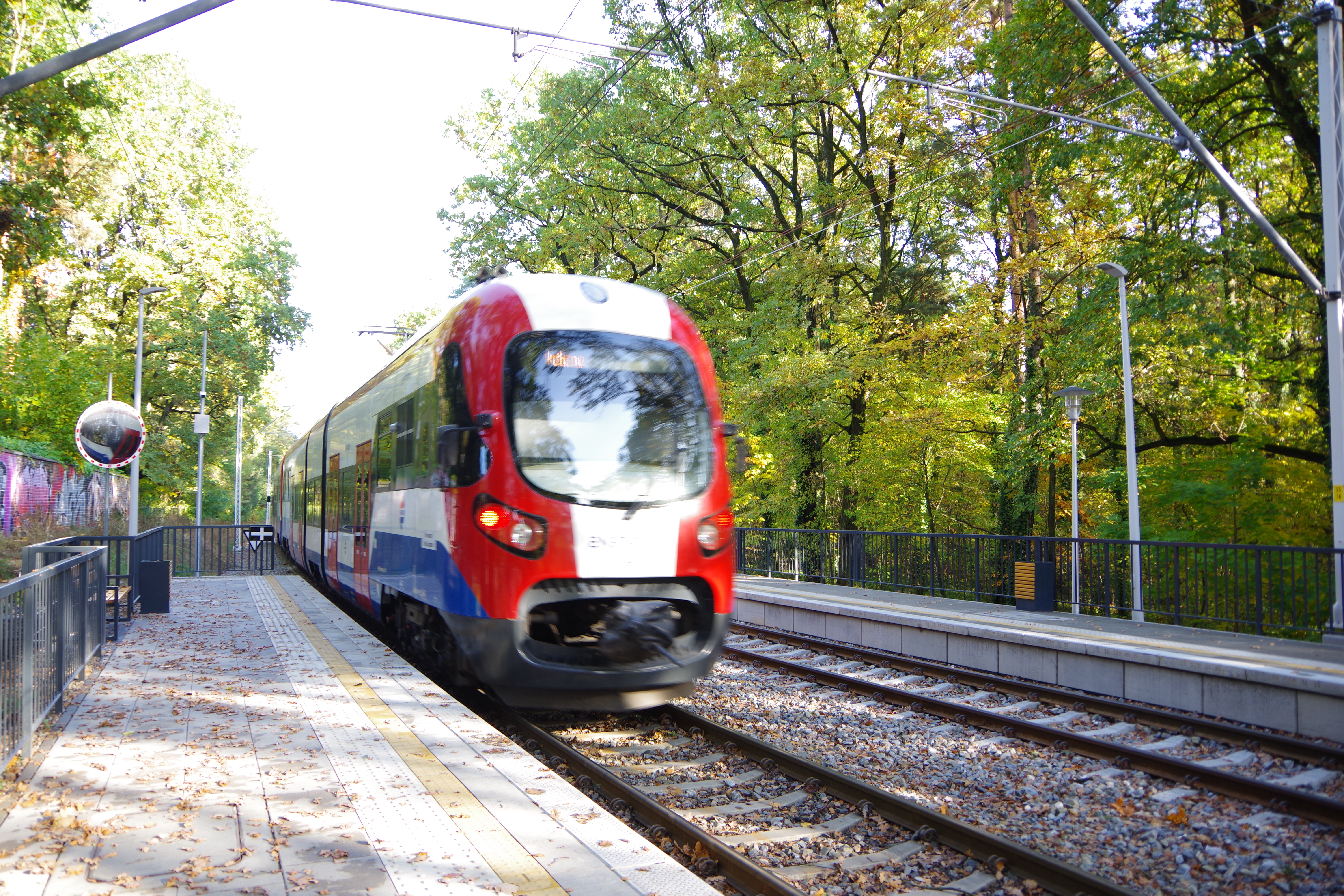 zdjęcie wjeżdżającego pociągu na przystanek Podkowa Leśna Zachosnia